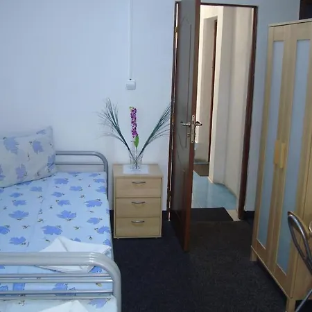 Hostel Litovoi