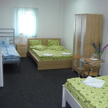 Litovoi Hostel *